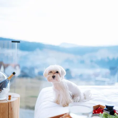 Calm Luxury Natural Lejlighed