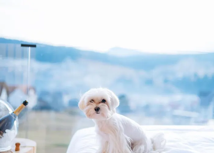 Calm Luxury Natural 公寓